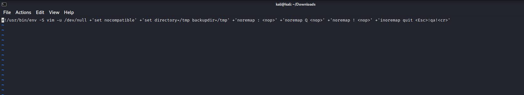 VIM Screen