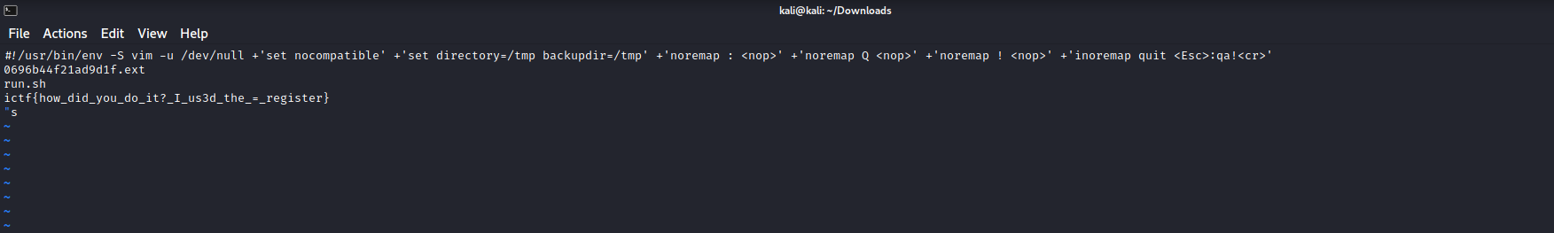 VIM Flag
