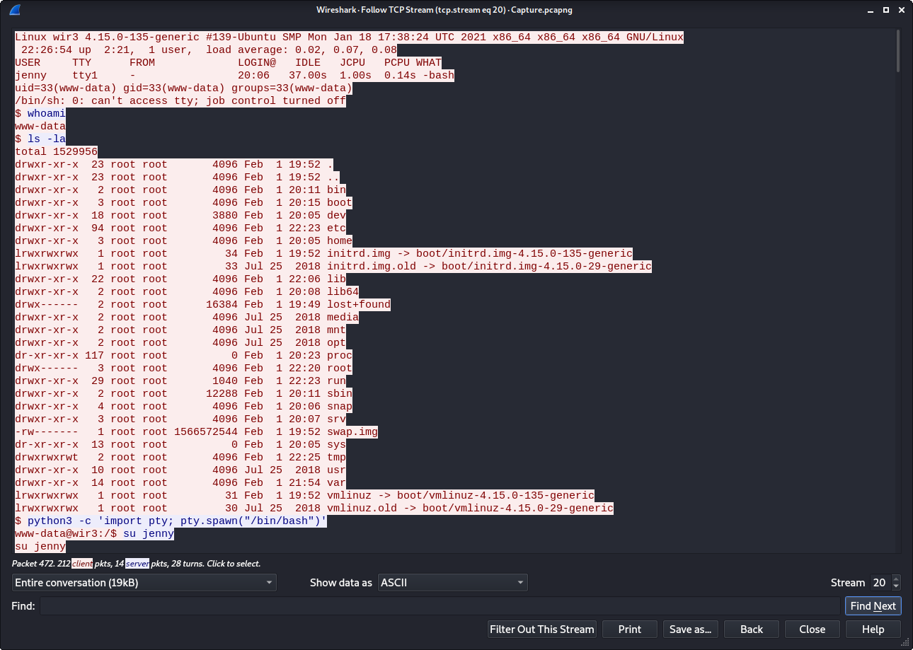 TCP Stream