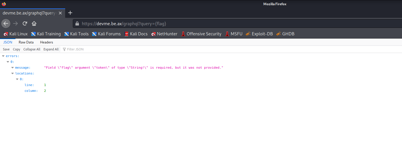 Query Flag
